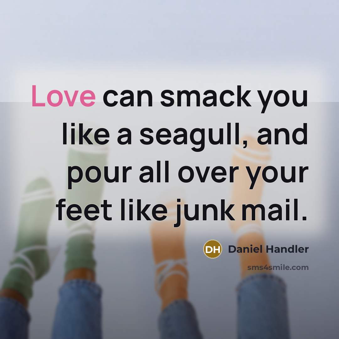 “Love can smack you like a seagull, and pour all over your feet like junk mail.” quote by Daniel Handler