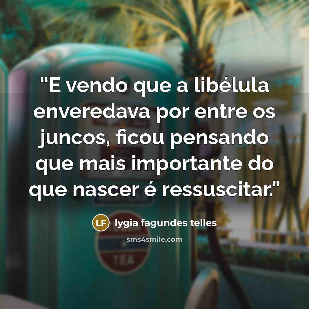 “E vendo que a libélula enveredava por entre os juncos, ficou pensando que mais importante do que nascer é ressuscitar.” quote by Lygia Fagundes Telles