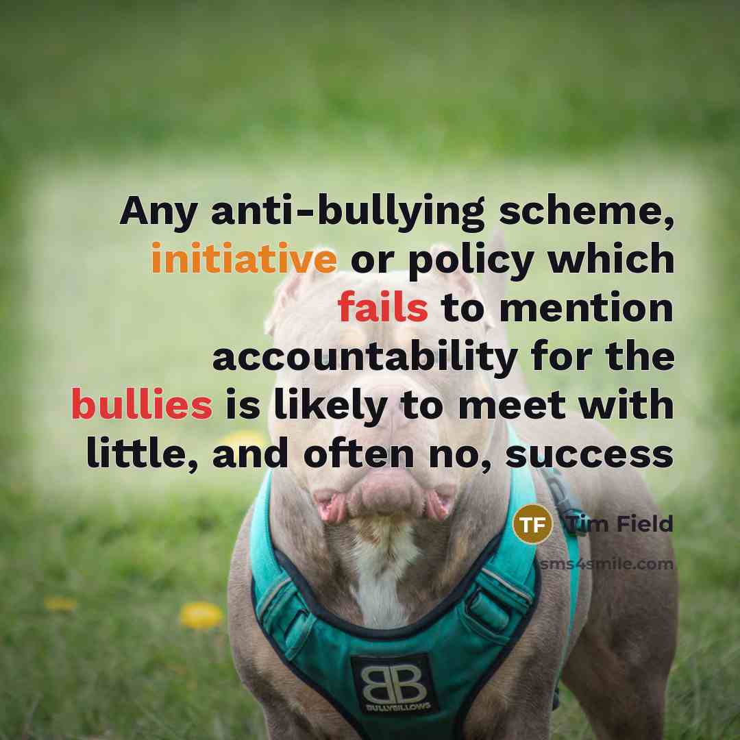 “Any anti-bullying scheme, initiative or policy which fails to mention accountability for the bullies is likely to meet with little, and often no, success” quote by Tim Field