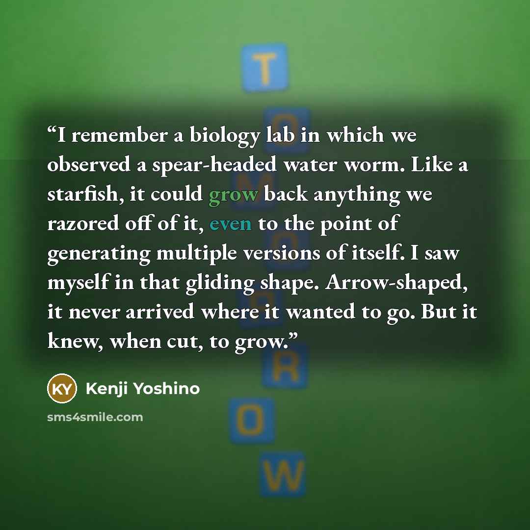 “I remember a biology lab in which we observed a spear-headed water worm. Like a starfish, it could grow back anything we razored off of it, even to the point of generating multiple versions of itself. I saw myself in that gliding shape. Arrow-shaped, it never arrived where it wanted to go. But it…” quote by Kenji Yoshino