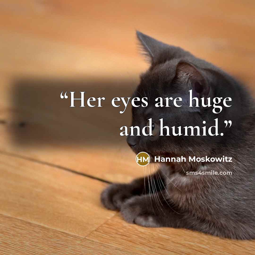 “Her eyes are huge and humid.” quote by Hannah Moskowitz