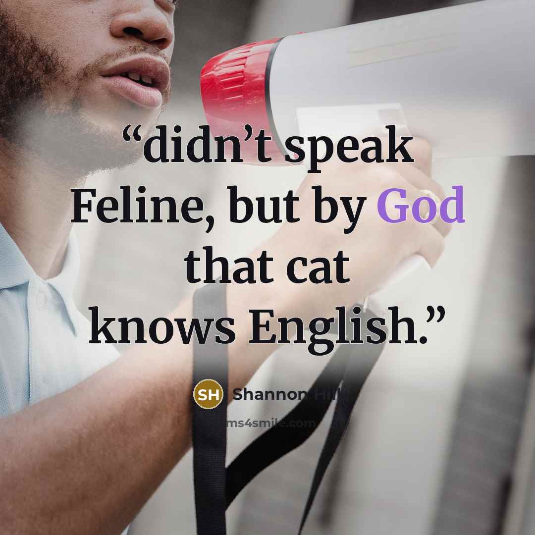 “didn’t speak Feline, but by God that cat knows English.” quote by Shannon Hill