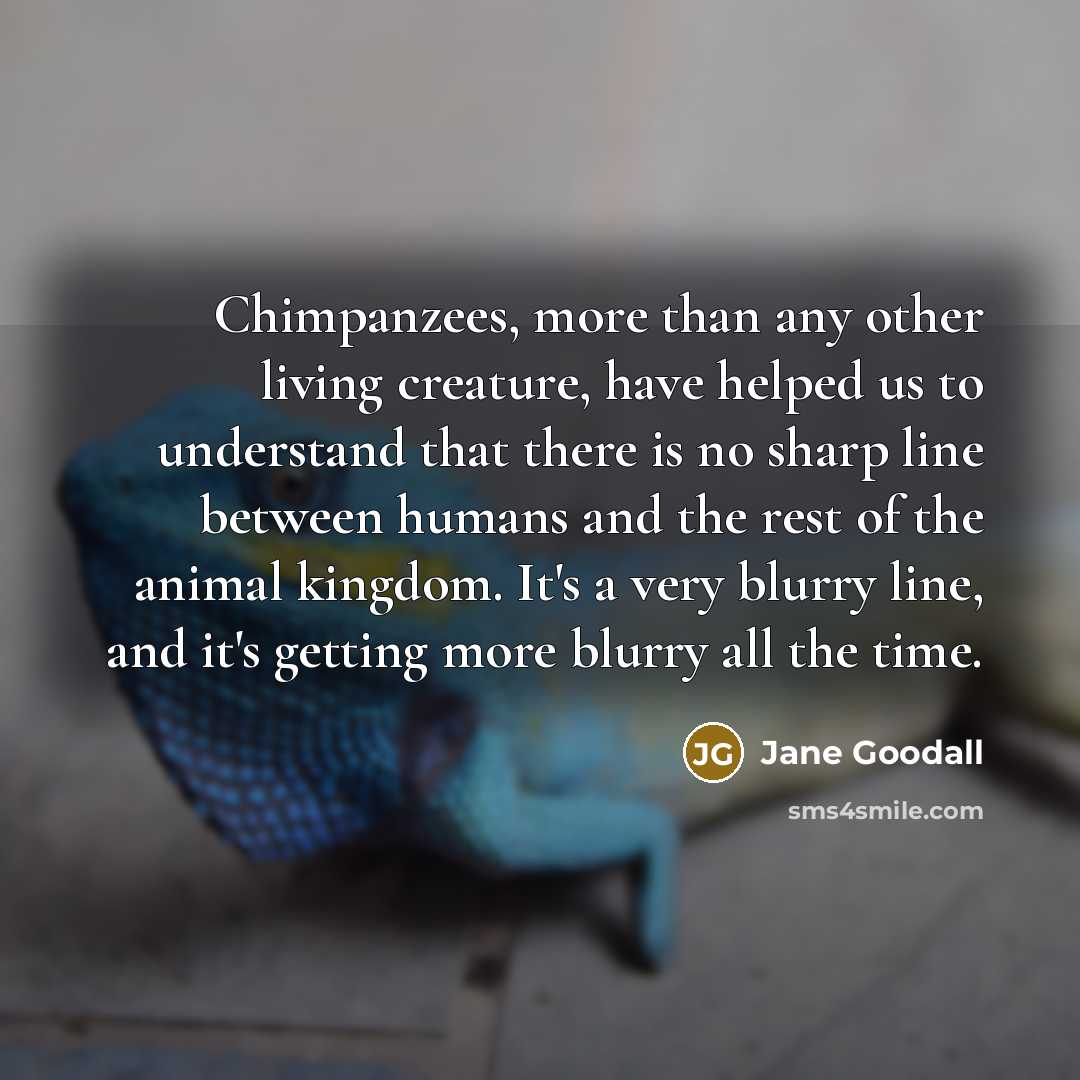 “Chimpanzees, more than any other living creature, have helped us to understand that there is no sharp line between humans and the rest of the animal kingdom. It's a very blurry line, and it's getting more blurry all the time.” quote by Jane Goodall