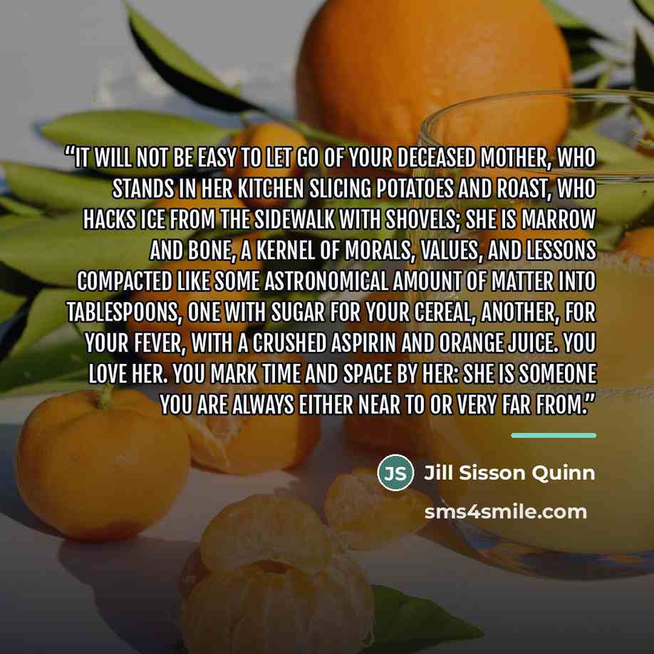 “It will not be easy to let go of your deceased mother, who stands in her kitchen slicing potatoes and roast, who hacks ice from the sidewalk with shovels; she is marrow and bone, a kernel of morals, values, and lessons compacted like some astronomical amount of matter into tablespoons, one with…” quote by Jill Sisson Quinn