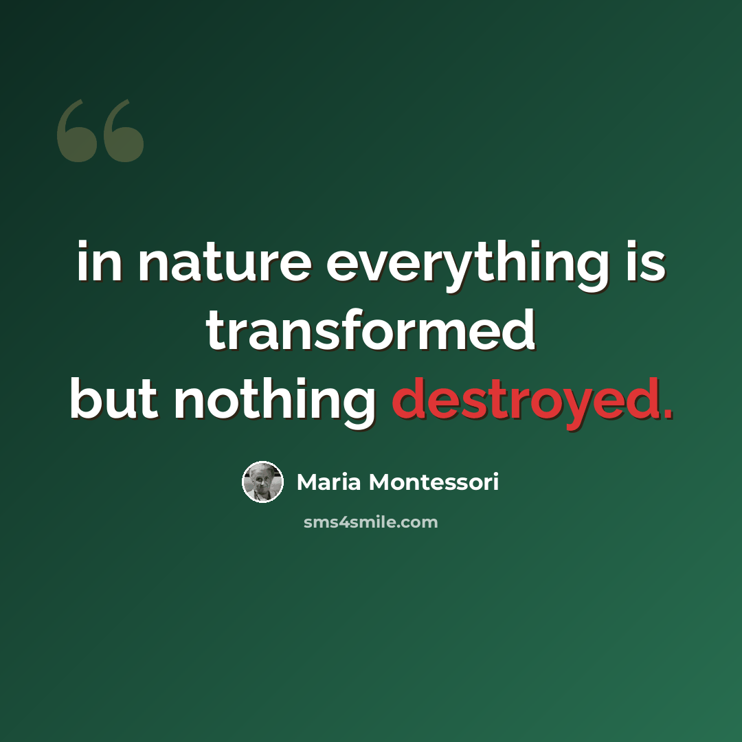 “in nature everything is transformed but nothing destroyed.” quote by Maria Montessori