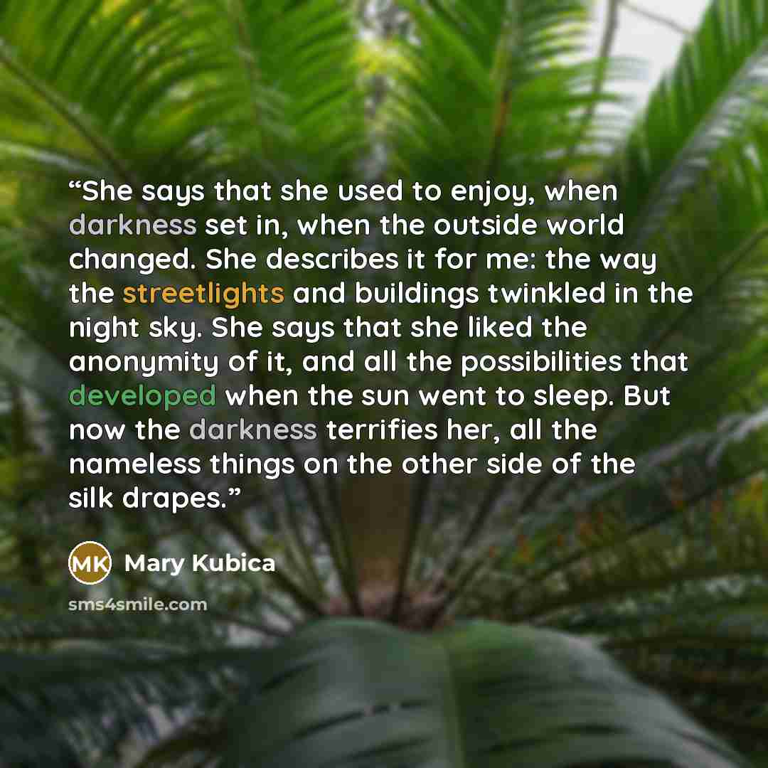 “She says that she used to enjoy, when darkness set in, when the outside world changed. She describes it for me: the way the streetlights and buildings twinkled in the night sky. She says that she liked the anonymity of it, and all the possibilities that developed when the sun went to sleep. But…” quote by Mary Kubica