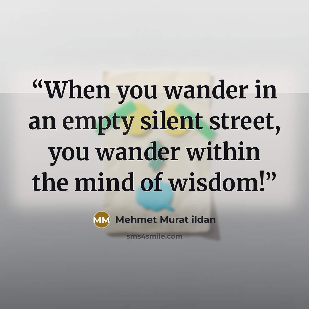 “When you wander in an empty silent street, you wander within the mind of wisdom!” quote by Mehmet Murat ildan