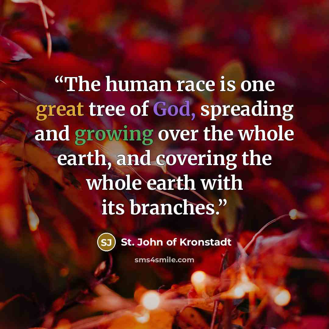 “The human race is one great tree of God, spreading and growing over the whole earth, and covering the whole earth with its branches.” quote by St. John of Kronstadt