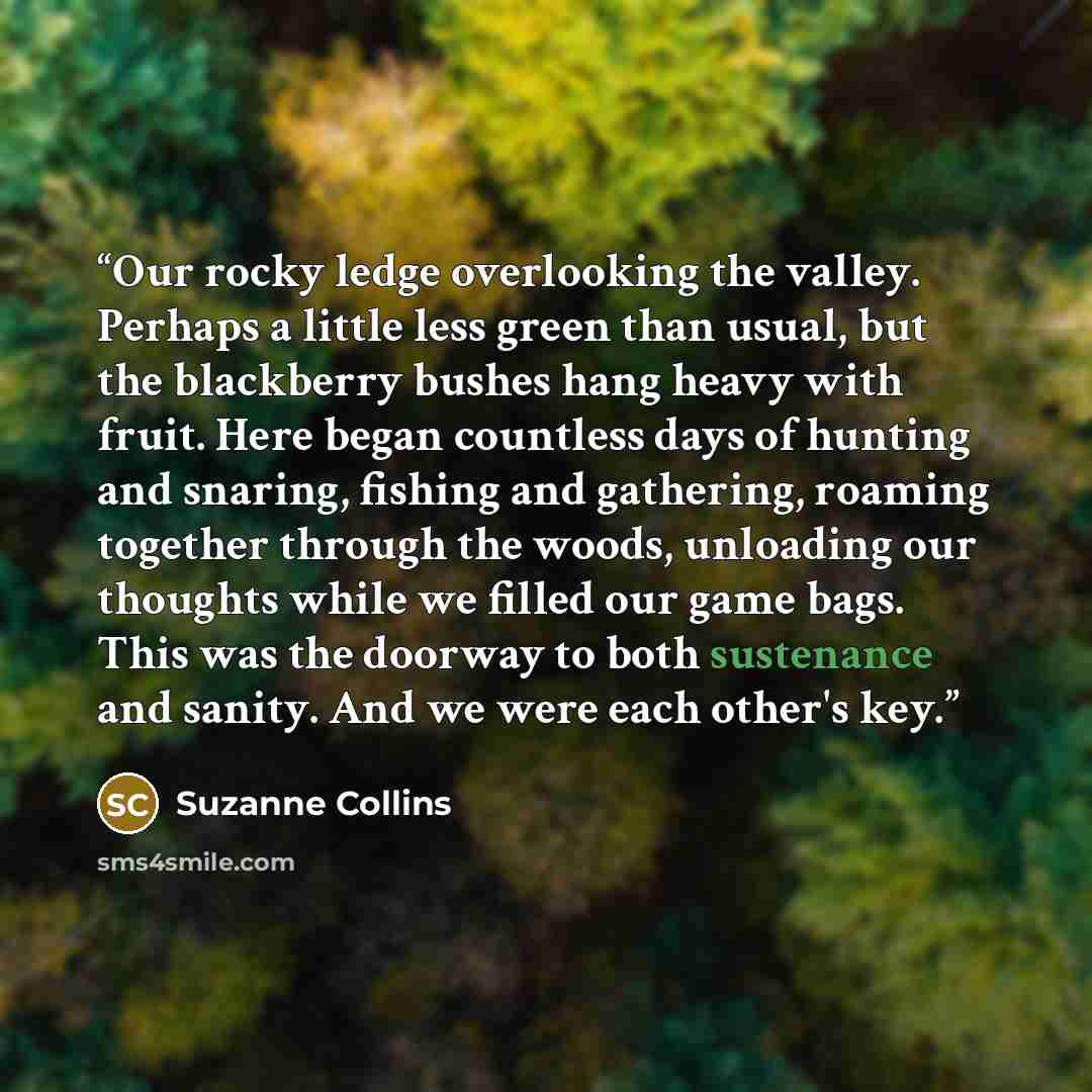 “Our rocky ledge overlooking the valley. Perhaps a little less green than usual, but the blackberry bushes hang heavy with fruit. Here began countless days of hunting and snaring, fishing and gathering, roaming together through the woods, unloading our thoughts while we filled our game bags. This…” quote by Suzanne Collins