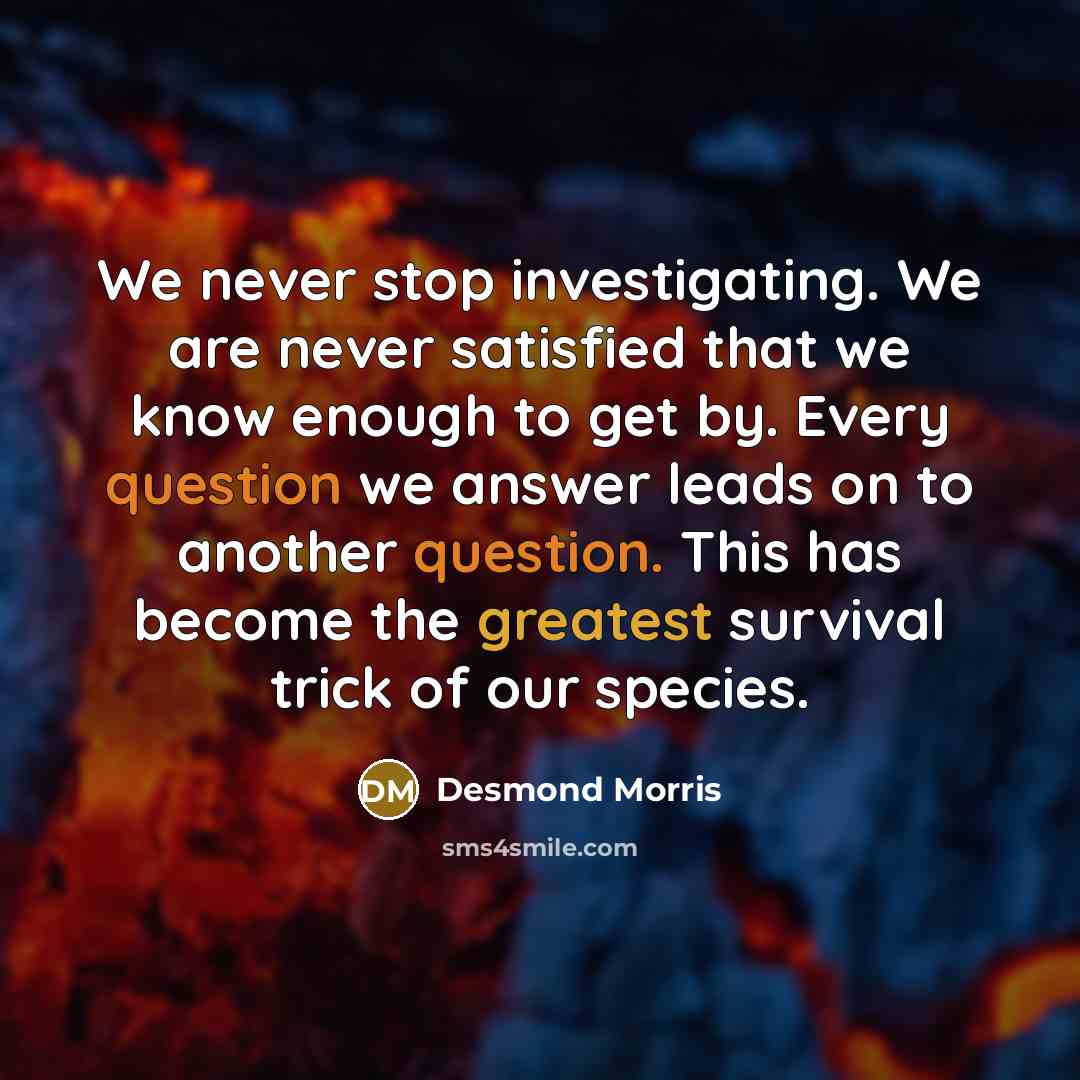 “We never stop investigating. We are never satisfied that we know enough to get by. Every question we answer leads on to another question. This has become the greatest survival trick of our species.” quote by Desmond Morris