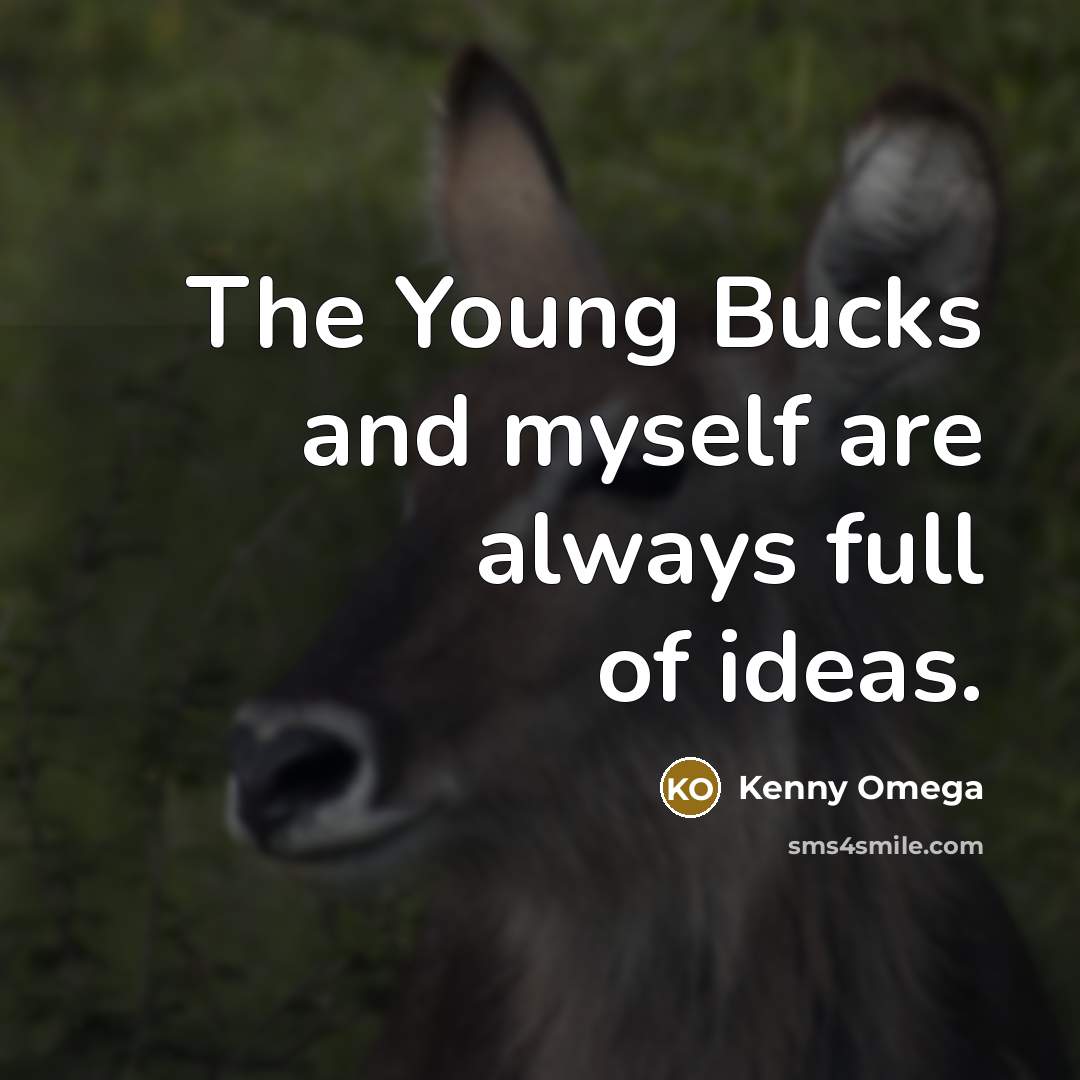 “The Young Bucks and myself are always full of ideas.” quote by Kenny Omega