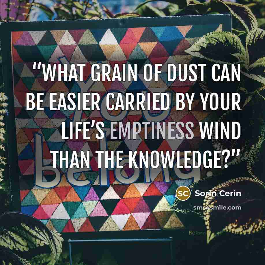 “What grain of dust can be easier carried by your life’s emptiness wind than the knowledge?” quote by Sorin Cerin