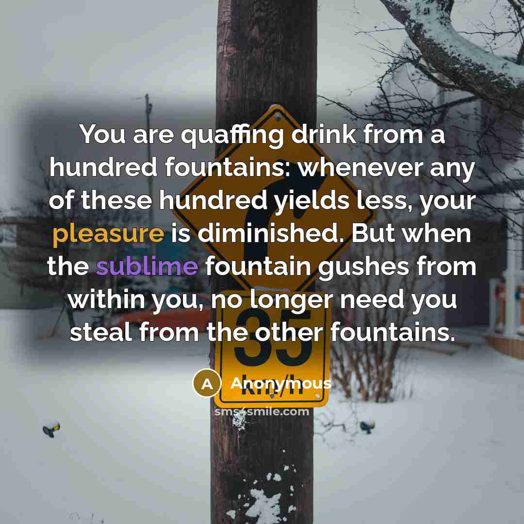 “You are quaffing drink from a hundred fountains: whenever any of these hundred yields less, your pleasure is diminished. But when the sublime fountain gushes from within you, no longer need you steal from the other fountains.” quote by Anonymous