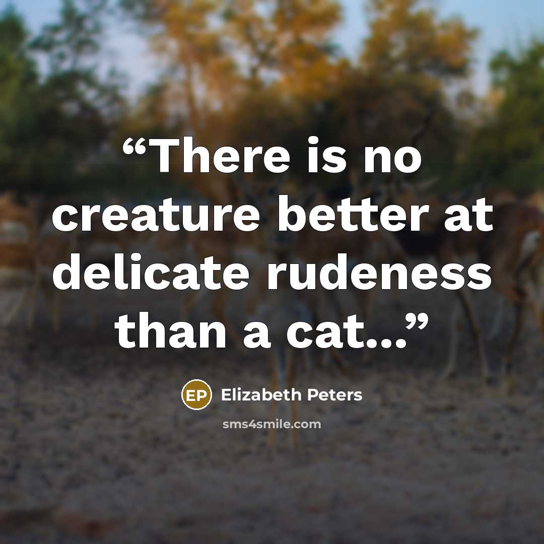 “There is no creature better at delicate rudeness than a cat...” quote by Elizabeth Peters