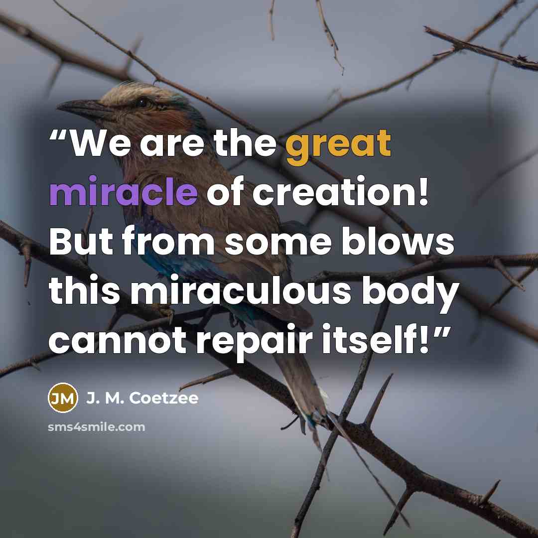 “We are the great miracle of creation! But from some blows this miraculous body cannot repair itself!” quote by J. M. Coetzee