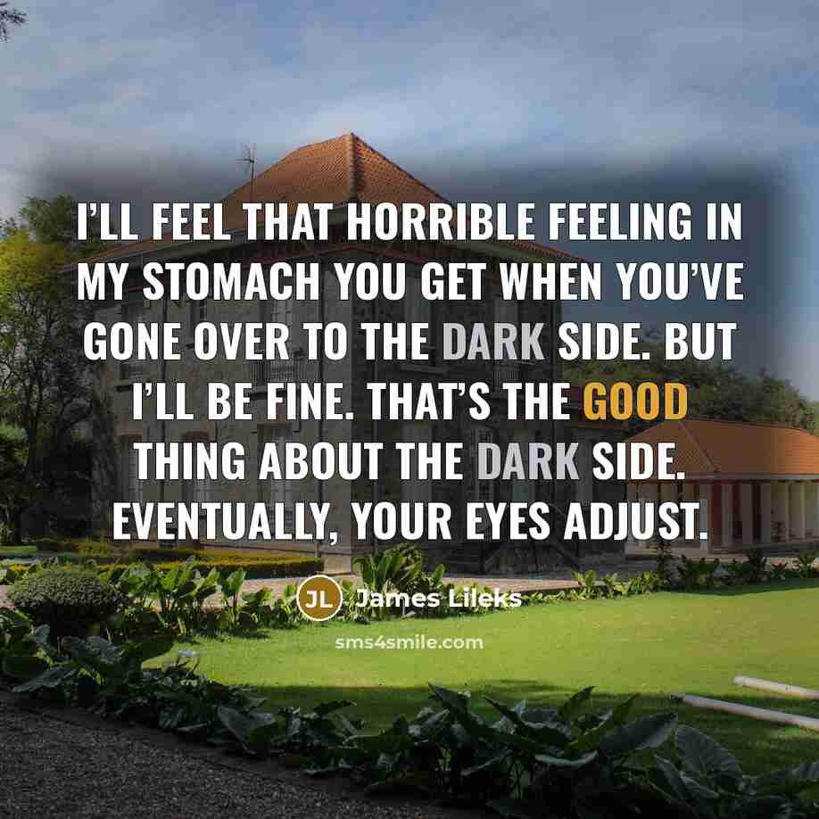 “I’ll feel that horrible feeling in my stomach you get when you’ve gone over to the Dark Side. But I’ll be fine. That’s the good thing about the Dark Side. Eventually, your eyes adjust.” quote by James Lileks