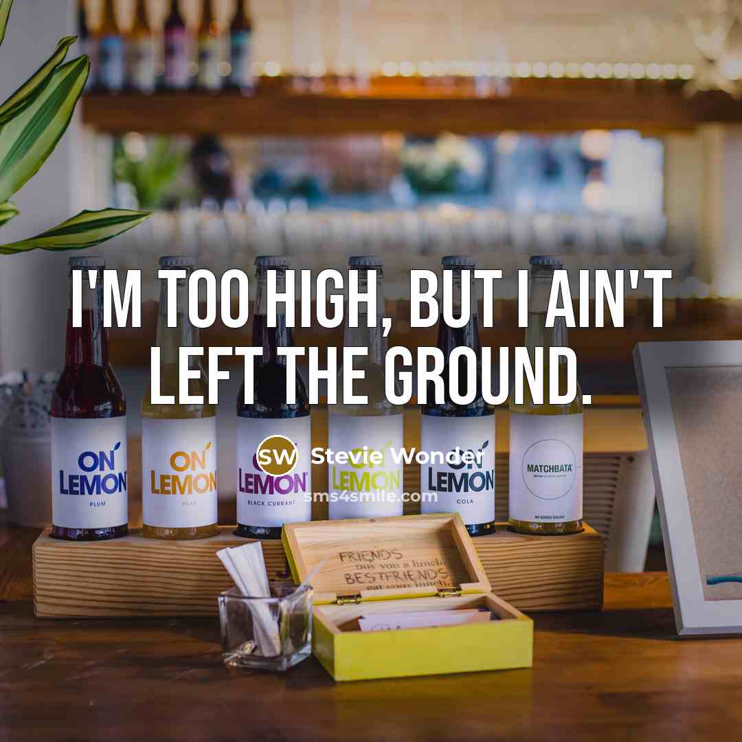 “I'm too high, but I ain't left the ground.” quote by Stevie Wonder