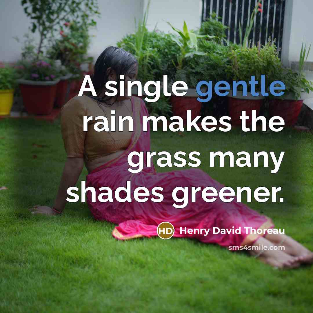 “A single gentle rain makes the grass many shades greener.” quote by Henry David Thoreau