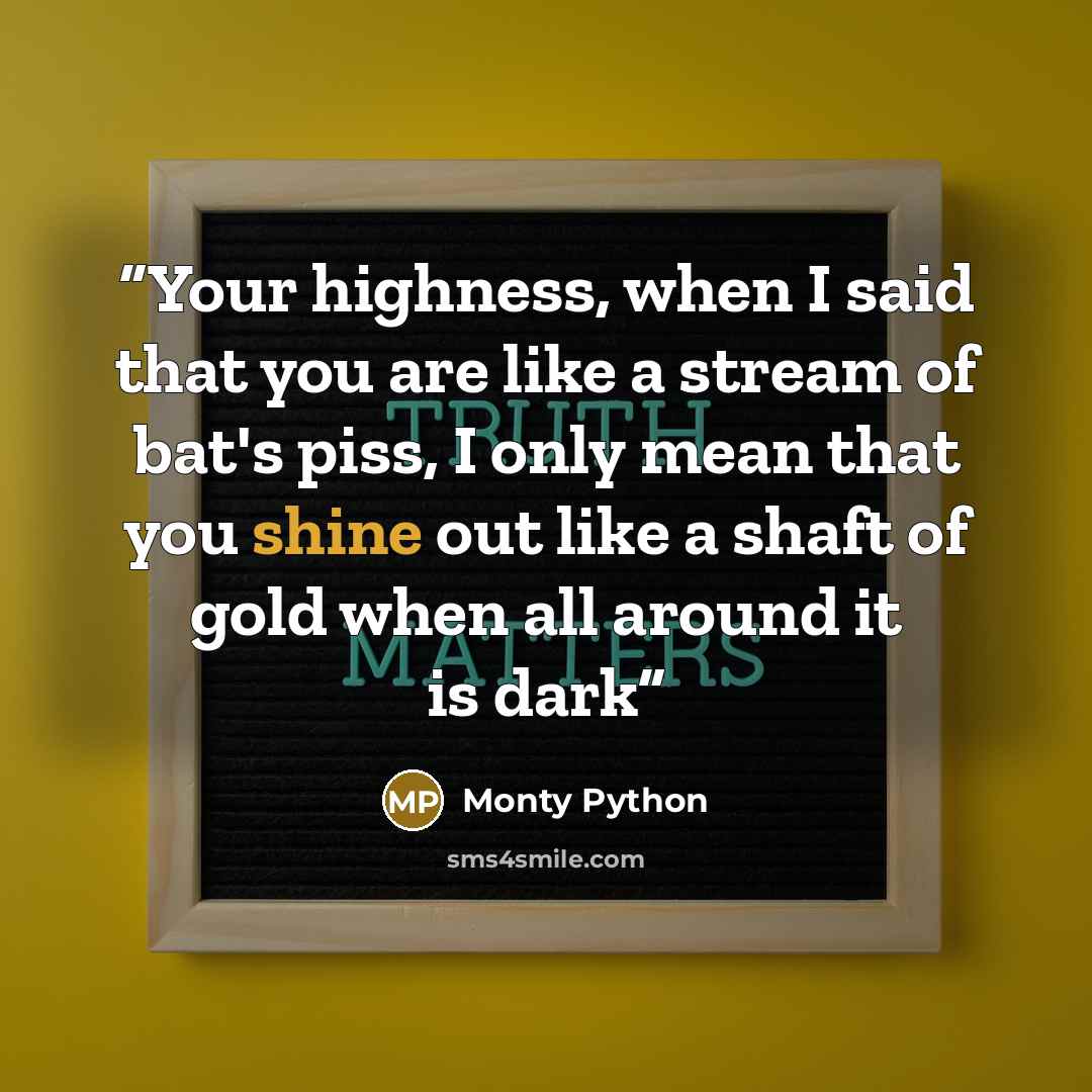 “Your highness, when I said that you are like a stream of bat's piss, I only mean that you shine out like a shaft of gold when all around it is dark” quote by Monty Python