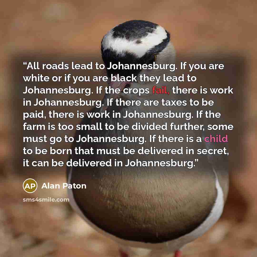 “All roads lead to Johannesburg. If you are white or if you are black they lead to Johannesburg. If the crops fail, there is work in Johannesburg. If there are taxes to be paid, there is work in Johannesburg. If the farm is too small to be divided further, some must go to Johannesburg. If there is…” quote by Alan Paton