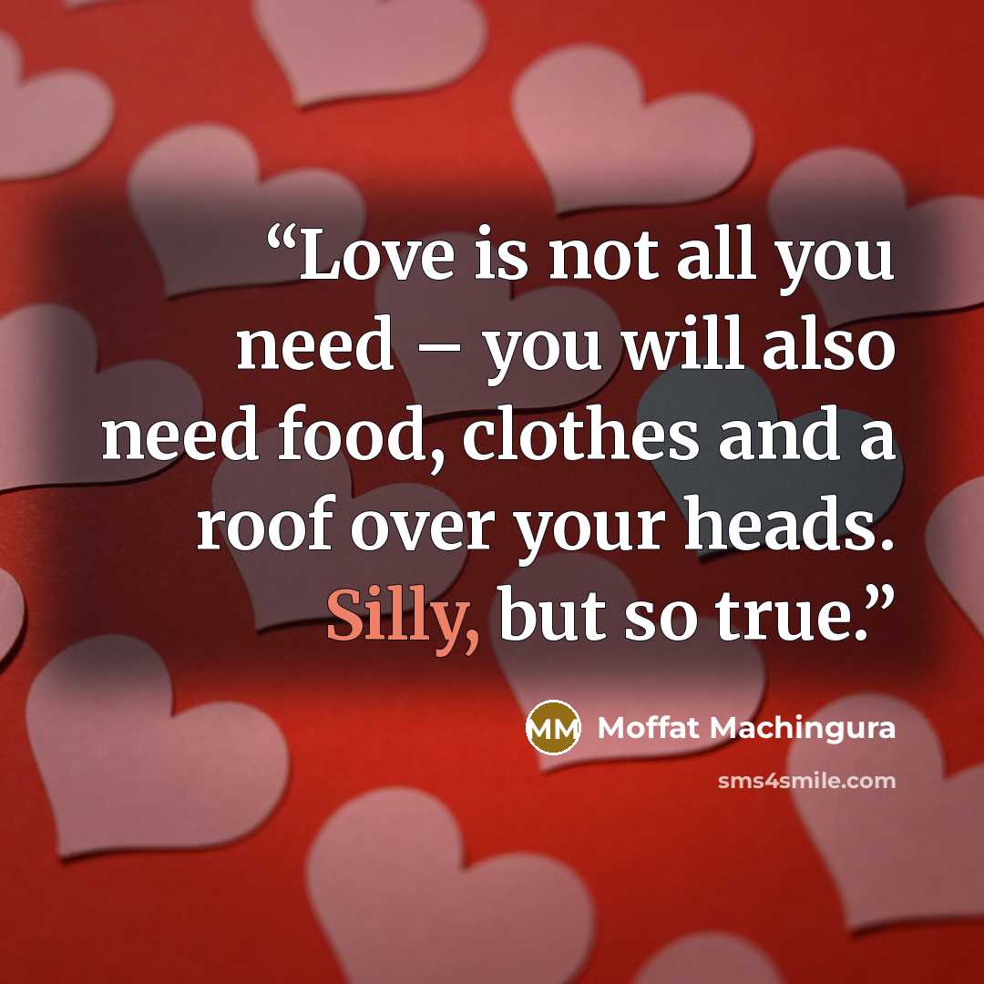 “Love is not all you need – you will also need food, clothes and a roof over your heads. Silly, but so true.” quote by Moffat Machingura