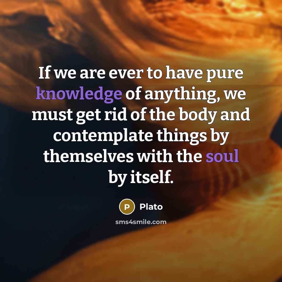 “If we are ever to have pure knowledge of anything, we must get rid of the body and contemplate things by themselves with the soul by itself.” quote by Plato