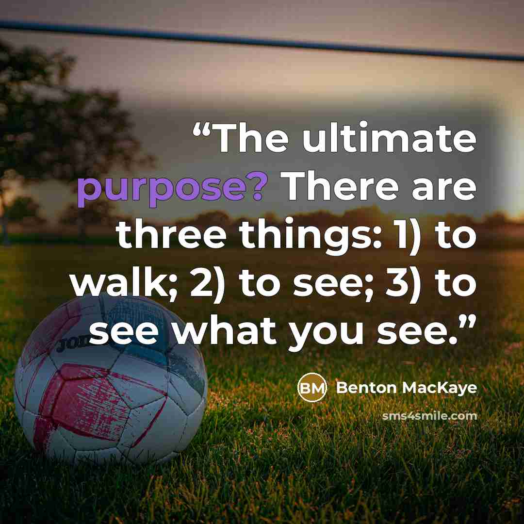 “The ultimate purpose? There are three things: 1) to walk; 2) to see; 3) to see what you see.” quote by Benton MacKaye