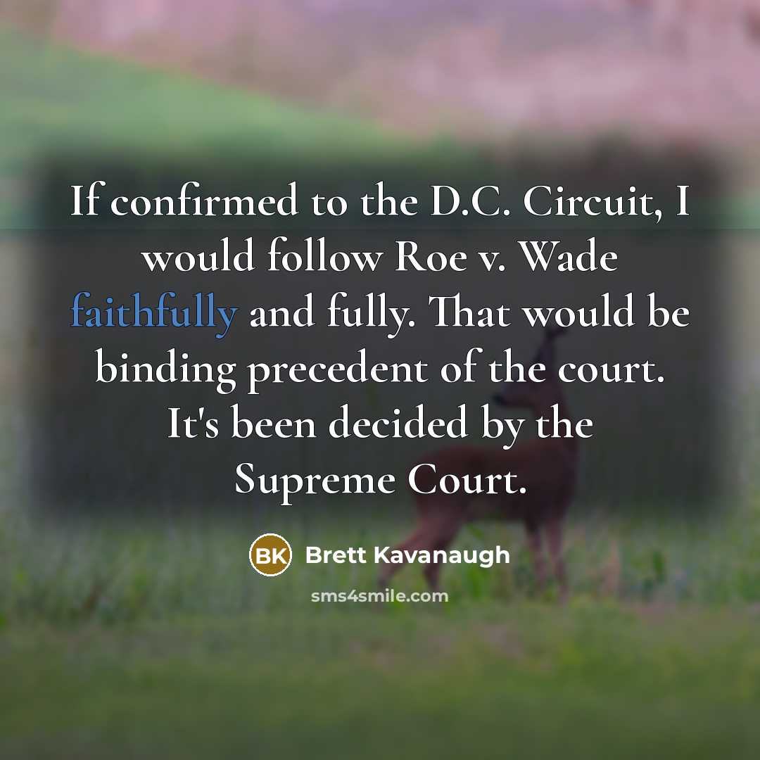 “If confirmed to the D.C. Circuit, I would follow Roe v. Wade faithfully and fully. That would be binding precedent of the court. It's been decided by the Supreme Court.” quote by Brett Kavanaugh