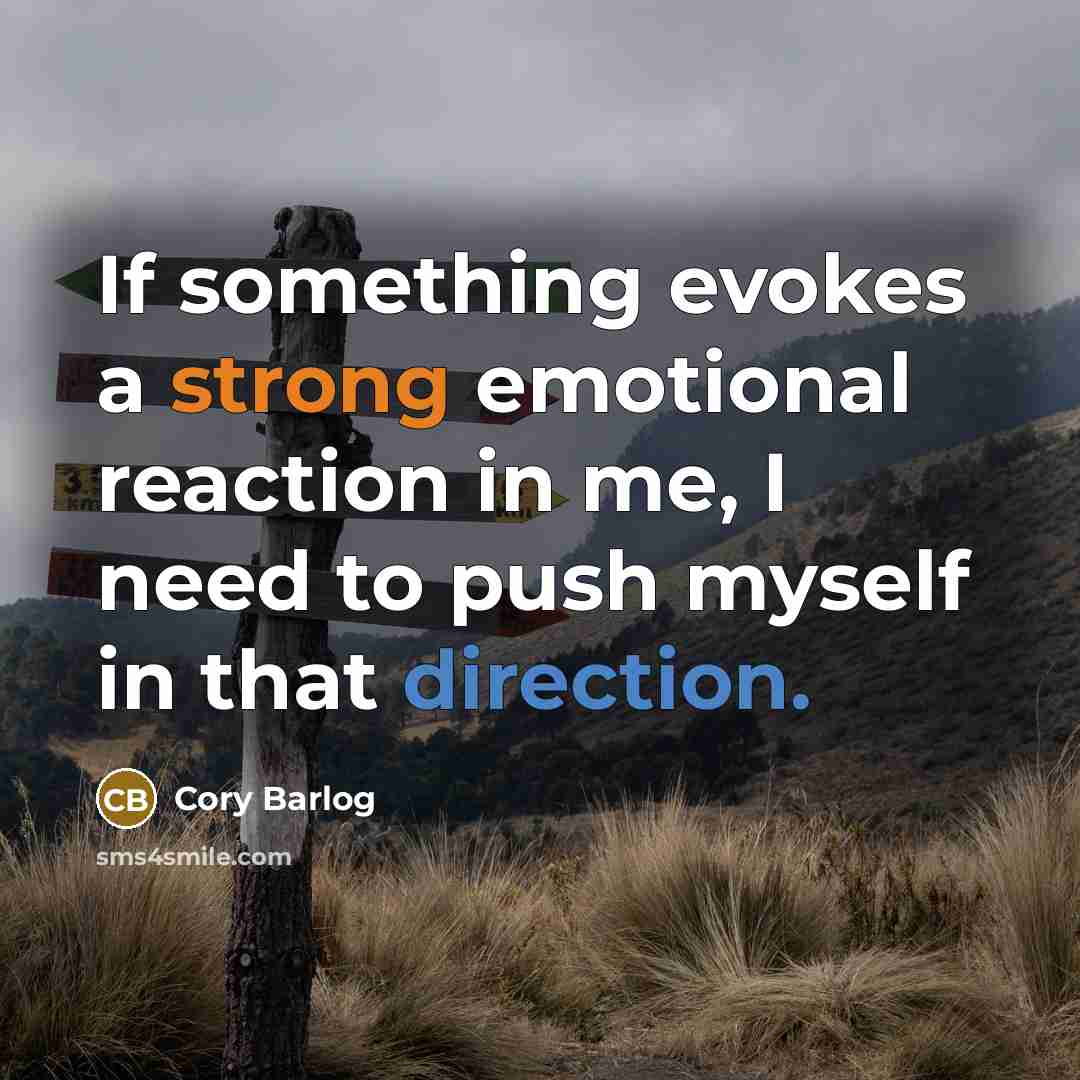 “If something evokes a strong emotional reaction in me, I need to push myself in that direction.” quote by Cory Barlog