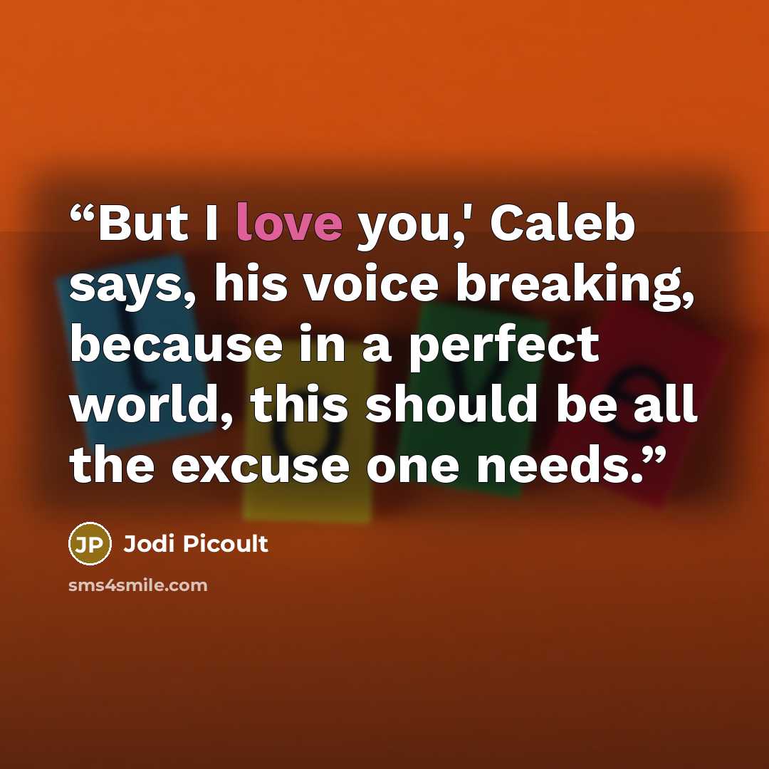 “But I love you,' Caleb says, his voice breaking, because in a perfect world, this should be all the excuse one needs.” quote by Jodi Picoult