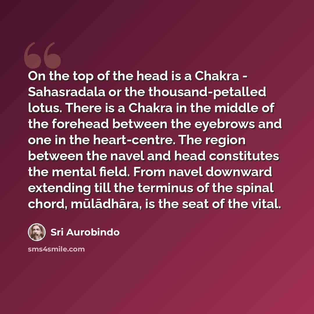 “On the top of the head is a Chakra - Sahasradala or the thousand-petalled lotus. There is a Chakra in the middle of the forehead between the eyebrows and one in the heart-centre. The region between the navel and head constitutes the mental field. From navel downward extending till the terminus of…” quote by Sri Aurobindo