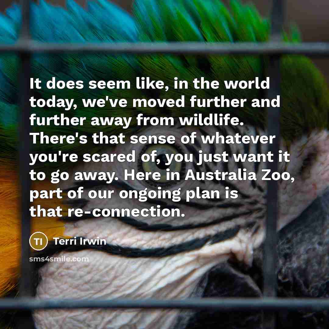 “It does seem like, in the world today, we've moved further and further away from wildlife. There's that sense of whatever you're scared of, you just want it to go away. Here in Australia Zoo, part of our ongoing plan is that re-connection.” quote by Terri Irwin