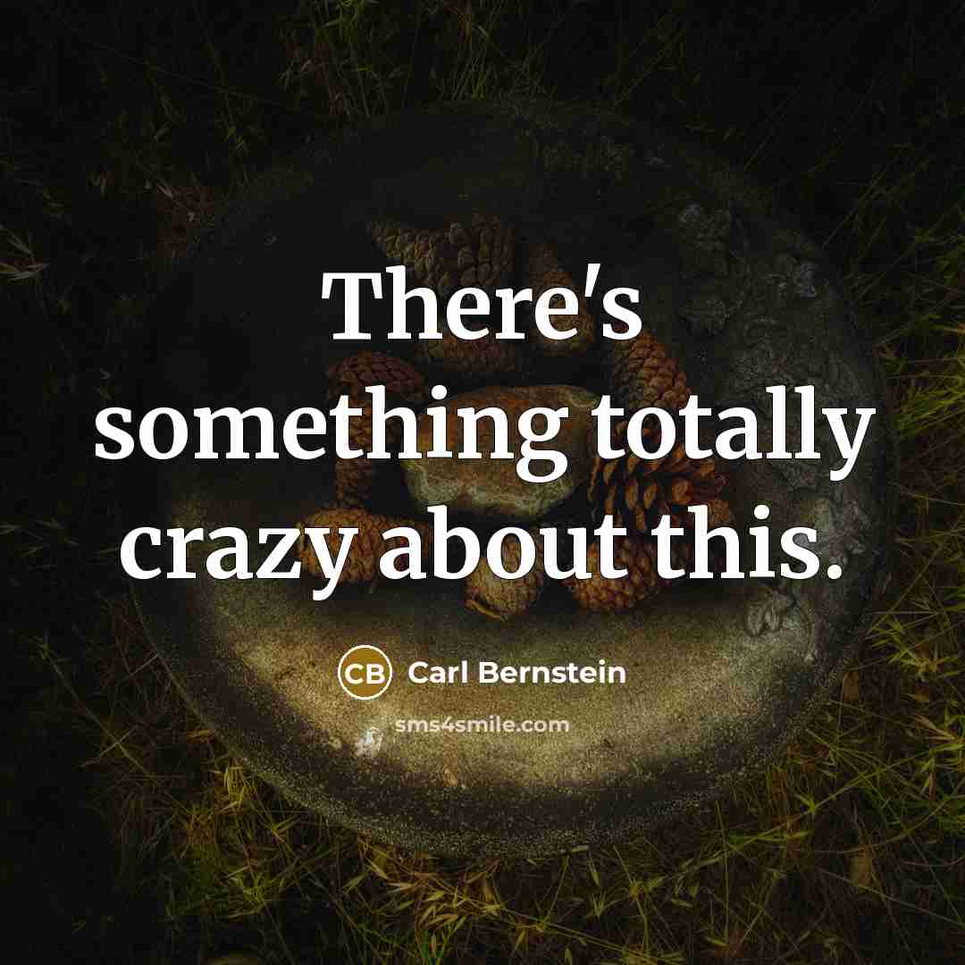 “There's something totally crazy about this.” quote by Carl Bernstein