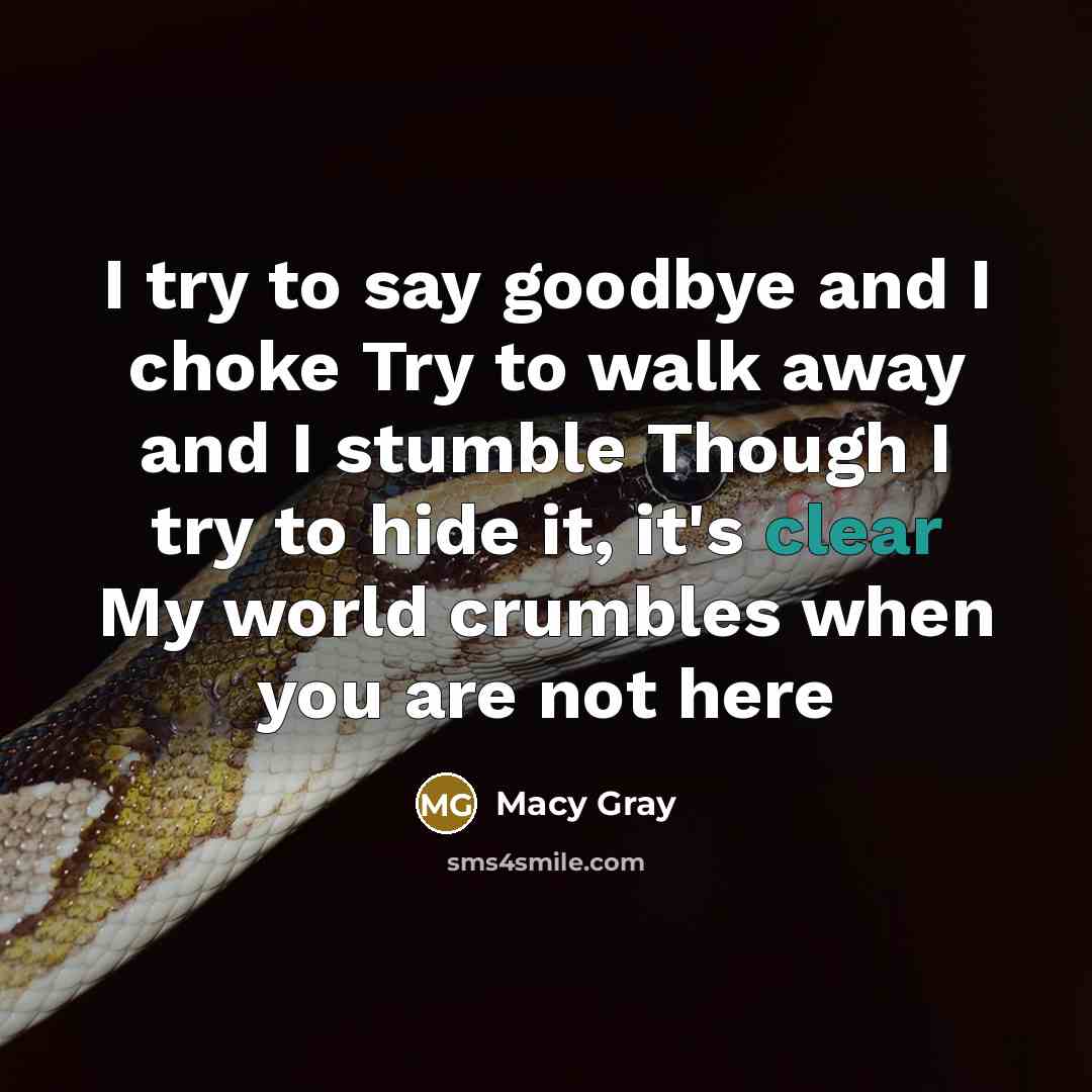 “I try to say goodbye and I choke Try to walk away and I stumble Though I try to hide it, it's clear My world crumbles when you are not here” quote by Macy Gray