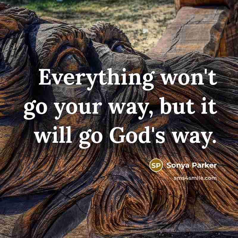 “Everything won't go your way, but it will go God's way.” quote by SONYA PARKER