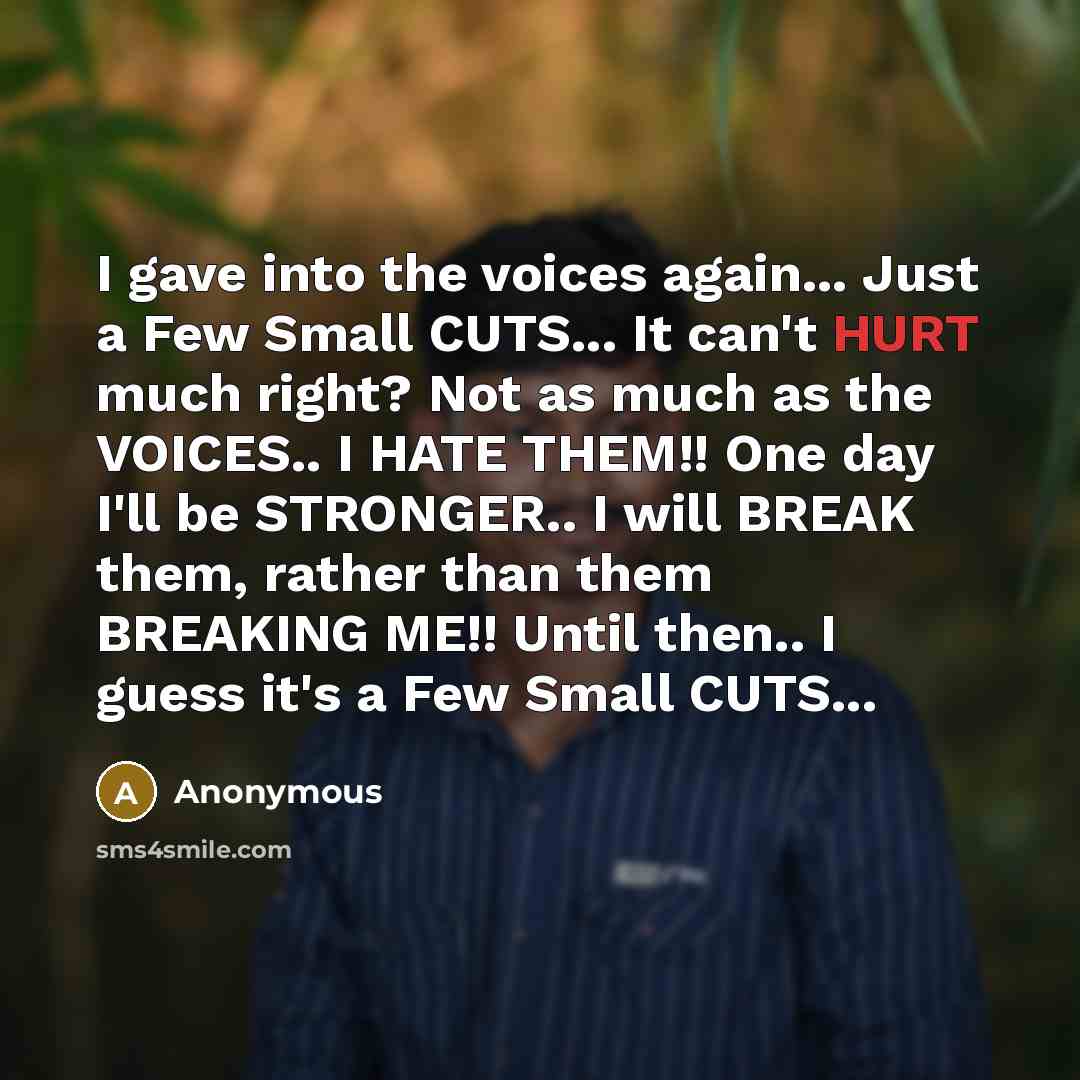 “I gave into the voices again... Just a Few Small CUTS... It can't HURT much right? Not as much as the VOICES.. I HATE THEM!! One day I'll be STRONGER.. I will BREAK them, rather than them BREAKING ME!! Until then.. I guess it's a Few Small CUTS...” quote by Anonymous