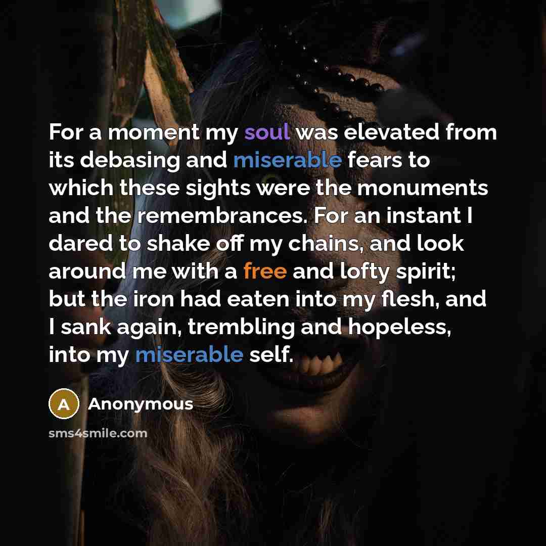 “For a moment my soul was elevated from its debasing and miserable fears to which these sights were the monuments and the remembrances. For an instant I dared to shake off my chains, and look around me with a free and lofty spirit; but the iron had eaten into my flesh, and I sank again, trembling…” quote by Anonymous