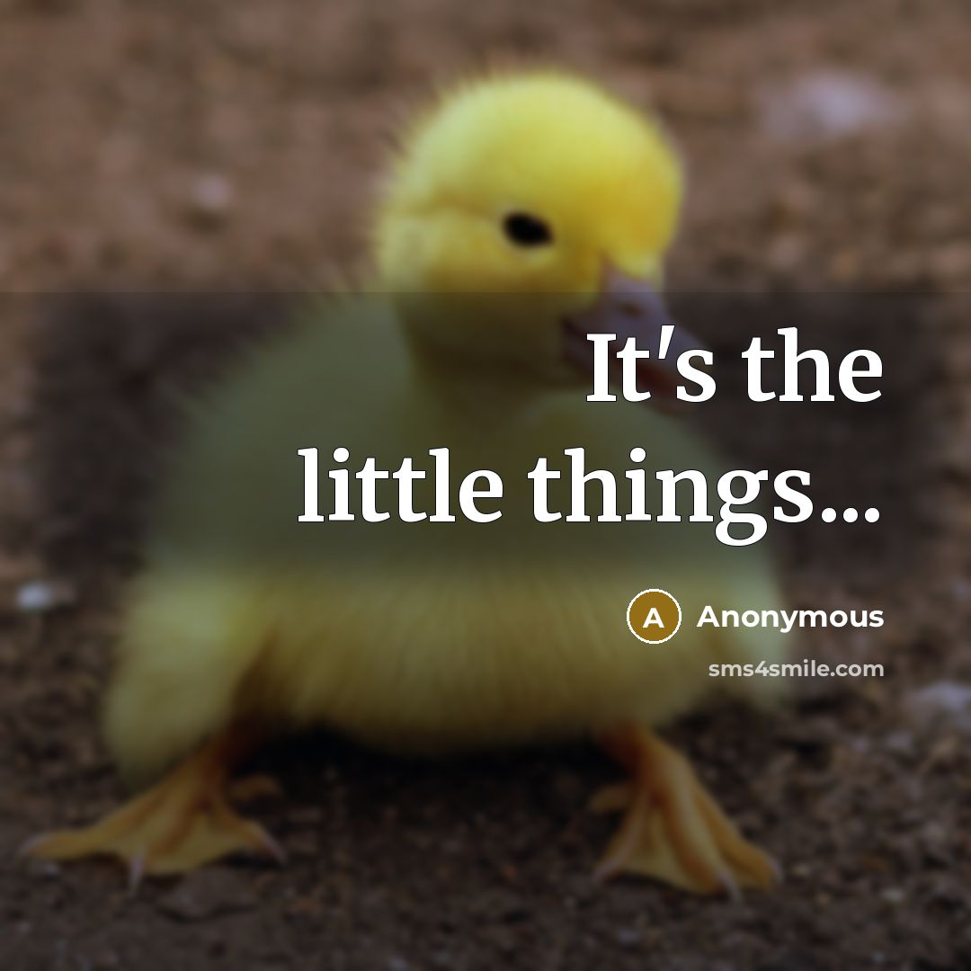 “It's the little things...” quote by Anonymous