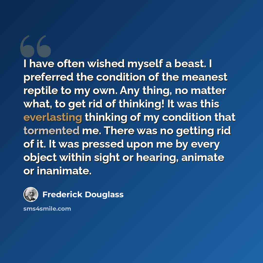 “I have often wished myself a beast. I preferred the condition of the meanest reptile to my own. Any thing, no matter what, to get rid of thinking! It was this everlasting thinking of my condition that tormented me. There was no getting rid of it. It was pressed upon me by every object within sight…” quote by Frederick Douglass