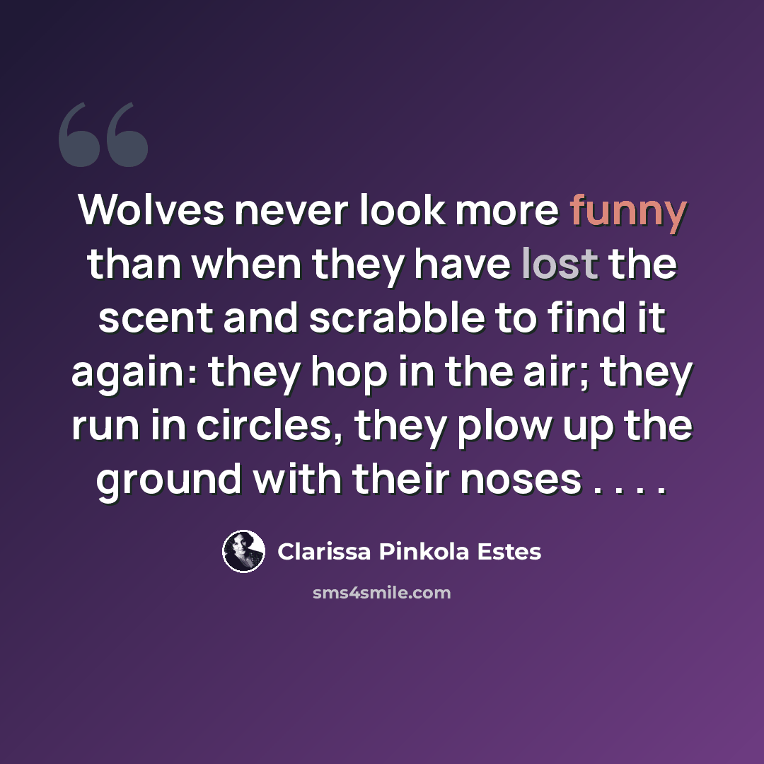 “Wolves never look more funny than when they have lost the scent and scrabble to find it again: they hop in the air; they run in circles, they plow up the ground with their noses . . . .” quote by Clarissa Pinkola Estes