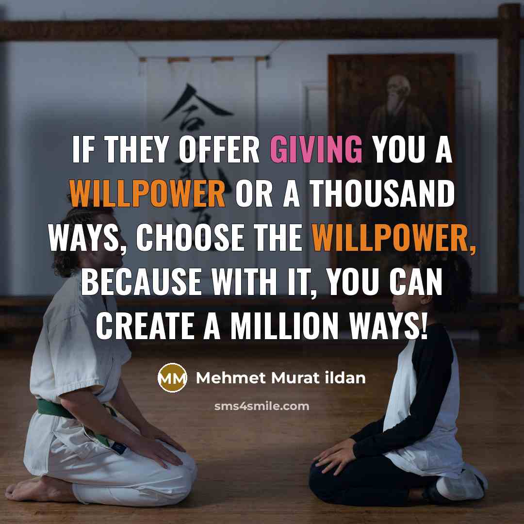 “If they offer giving you a willpower or a thousand ways, choose the willpower, because with it, you can create a million ways!” quote by Mehmet Murat Ildan