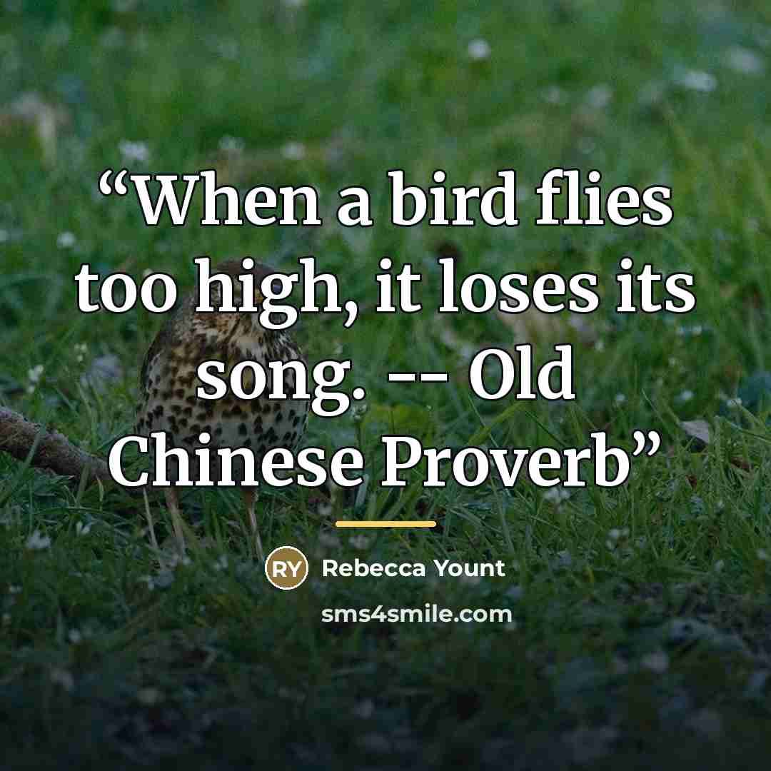 “When a bird flies too high, it loses its song. -- Old Chinese Proverb” quote by Rebecca Yount
