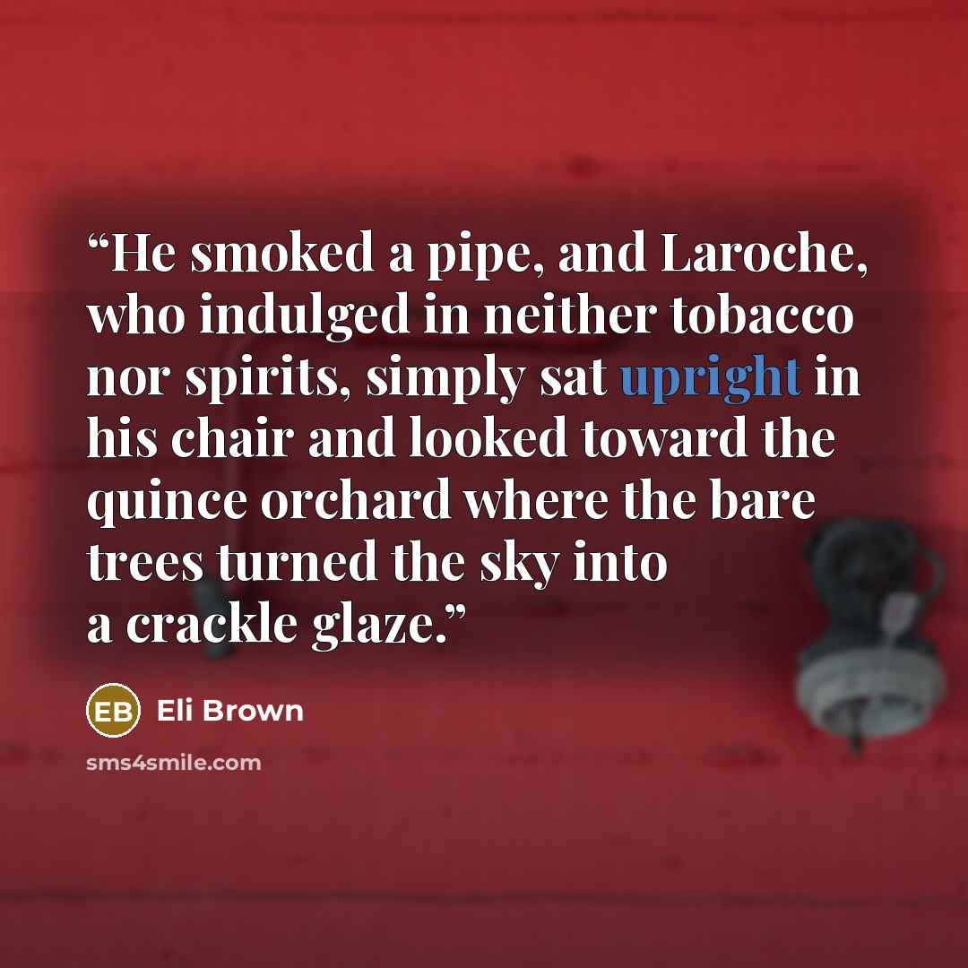 “He smoked a pipe, and Laroche, who indulged in neither tobacco nor spirits, simply sat upright in his chair and looked toward the quince orchard where the bare trees turned the sky into a crackle glaze.” quote by Eli Brown
