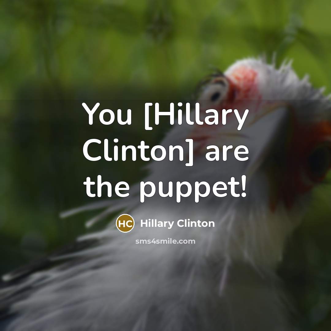 “You [Hillary Clinton] are the puppet!” quote by Hillary Clinton