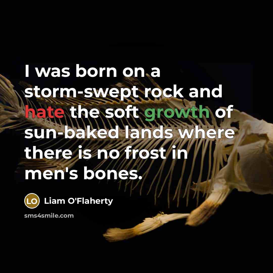 “I was born on a storm-swept rock and hate the soft growth of sun-baked lands where there is no frost in men's bones.” quote by Liam O'Flaherty