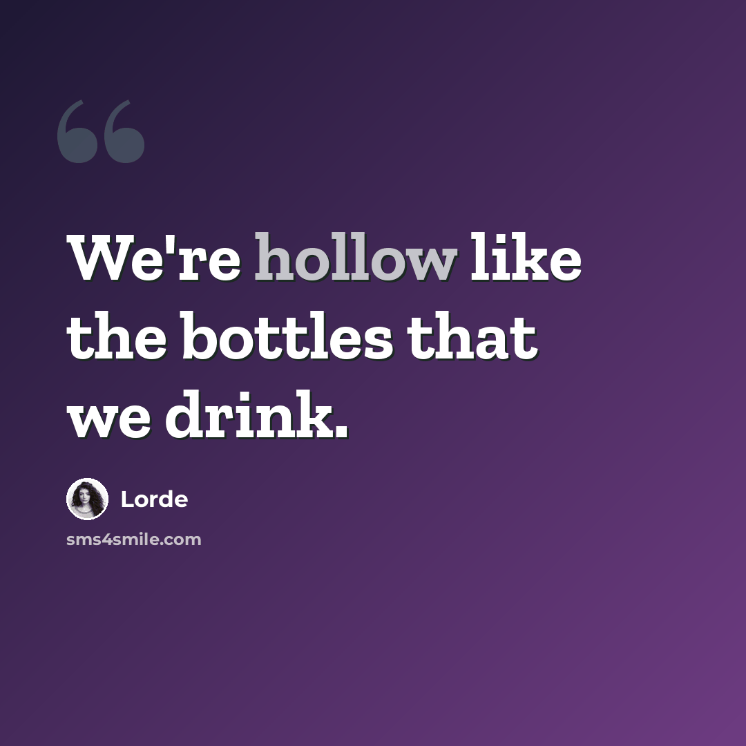 “We're hollow like the bottles that we drink.” quote by Lorde