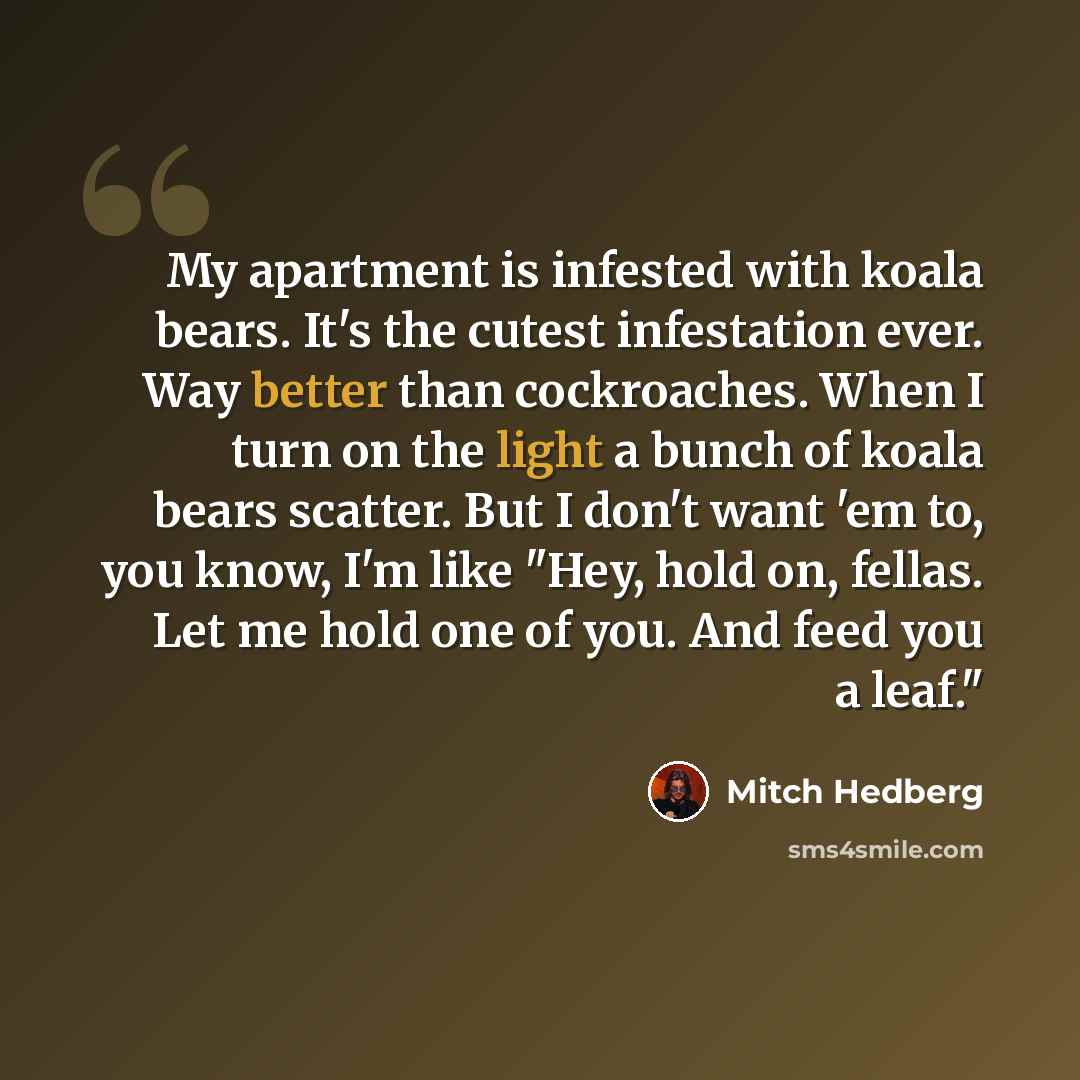 “My apartment is infested with koala bears. It's the cutest infestation ever. Way better than cockroaches. When I turn on the light a bunch of koala bears scatter. But I don't want 'em to, you know, I'm like "Hey, hold on, fellas. Let me hold one of you. And feed you a leaf."” quote by Mitch Hedberg