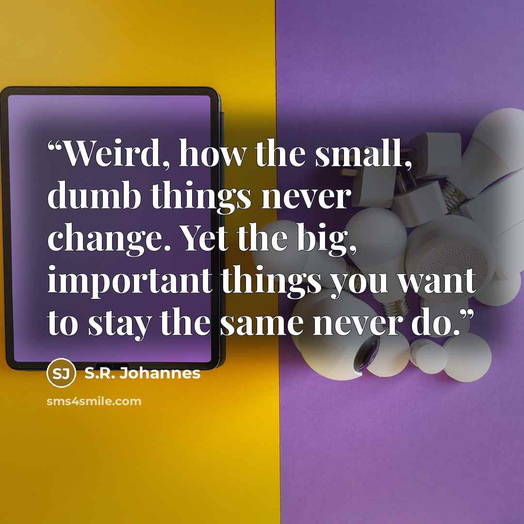 “Weird, how the small, dumb things never change. Yet the big, important things you want to stay the same never do.” quote by S.R. Johannes