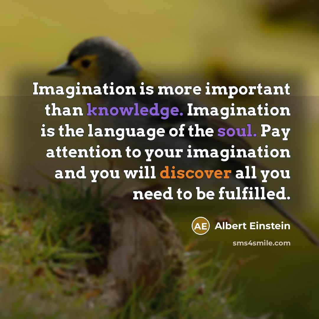 “Imagination is more important than knowledge. Imagination is the language of the soul. Pay attention to your imagination and you will discover all you need to be fulfilled.” quote by Albert Einstein