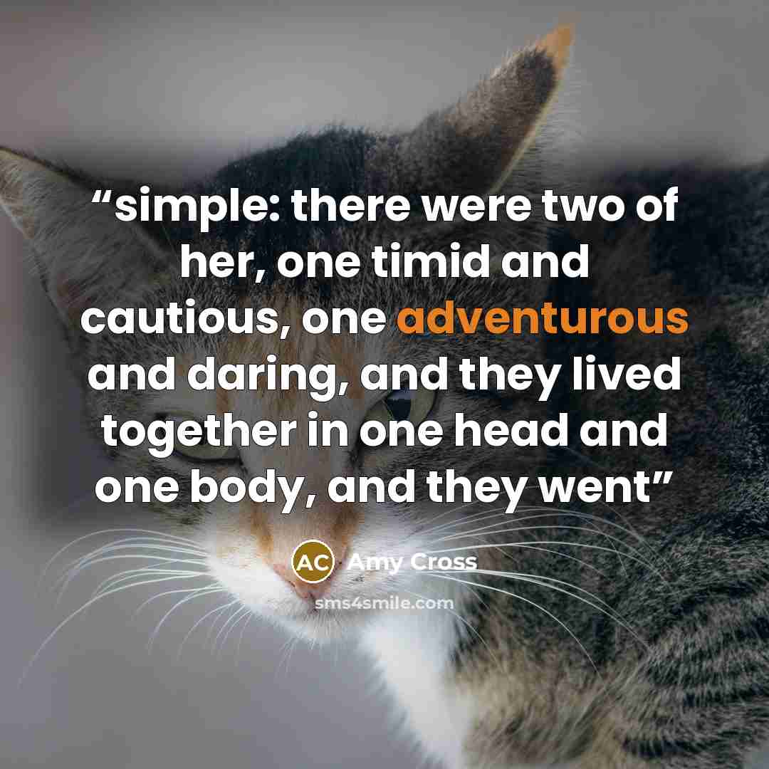 “simple: there were two of her, one timid and cautious, one adventurous and daring, and they lived together in one head and one body, and they went” quote by Amy Cross